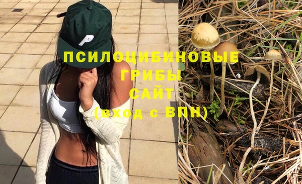 МДПВ Алексеевка