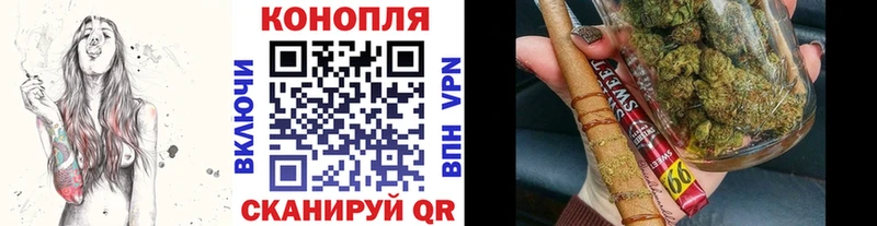 Конопля гибрид  Киров 
